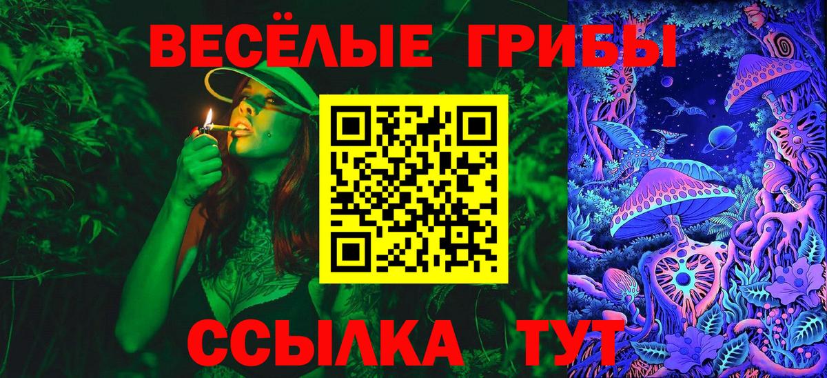 Псилоцибиновые грибы Psilocybine cubensis Черкесск