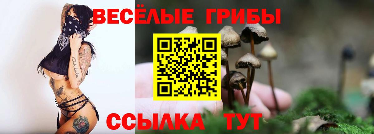 Черкесск  Псилоцибиновые грибы MAGIC MUSHROOMS  как найти закладки  Вход с VPN  Галлюциногенные грибы ЛСД 
